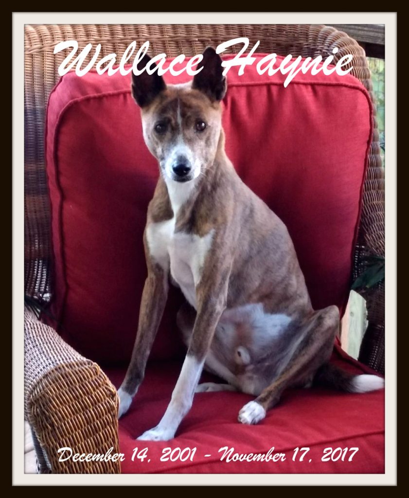 Saying Good-Bye to a Dear Friend
