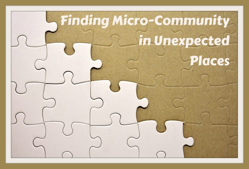 Finding Micro-Community in Unexpected Places