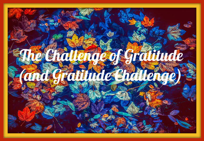 The Challenge of Gratitude (and Gratitude Challenge)